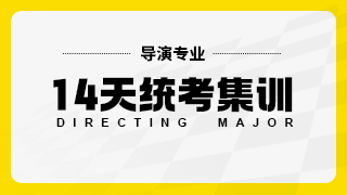 导演14天统考集训
