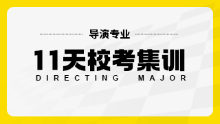 导演11天校考集训
