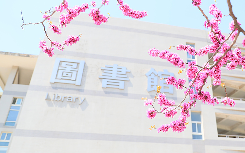 校园风光