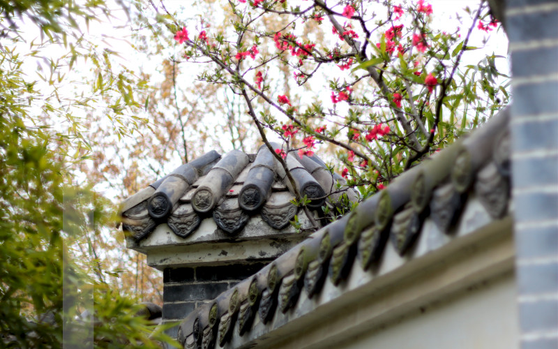 校园风光