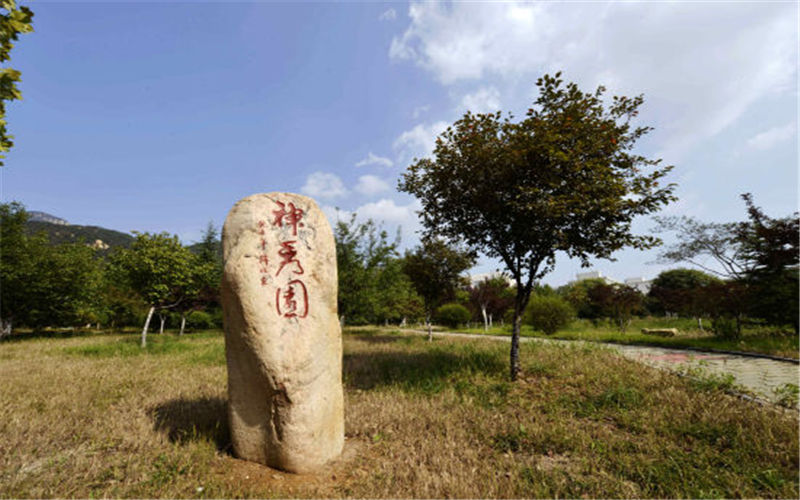 校园风光
