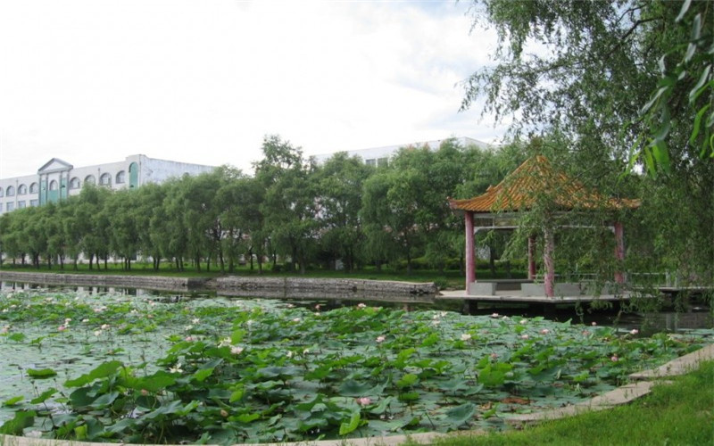 校园风光