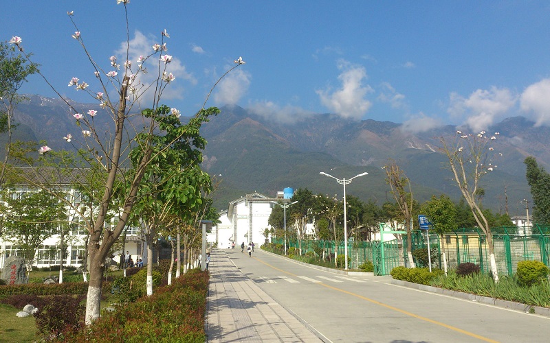 校园风光
