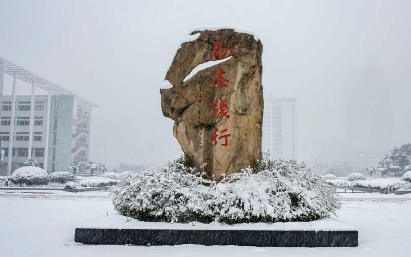 校园风光