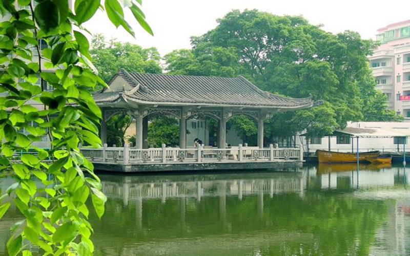 校园风光