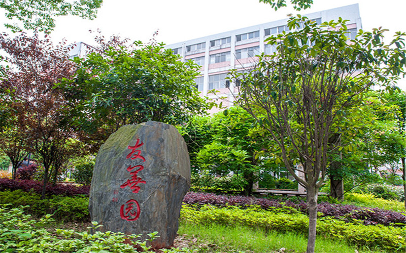 校园风光