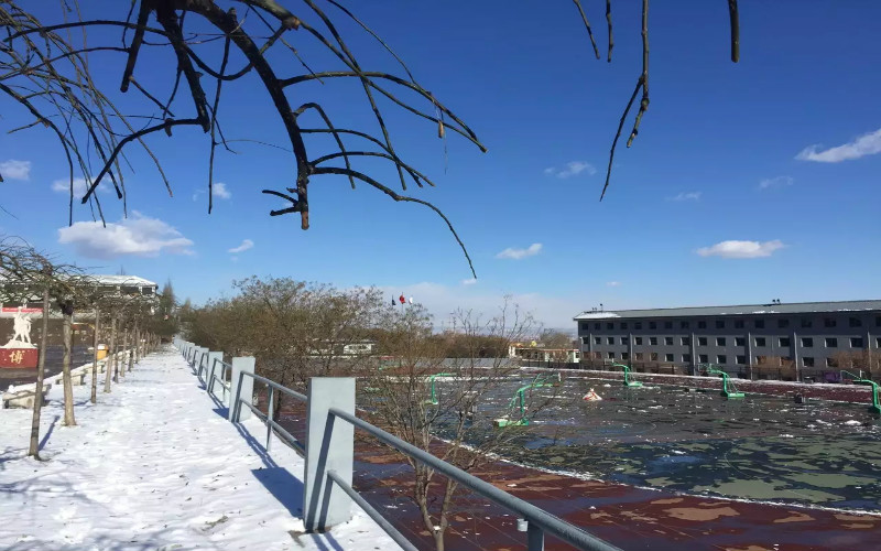 校园风光