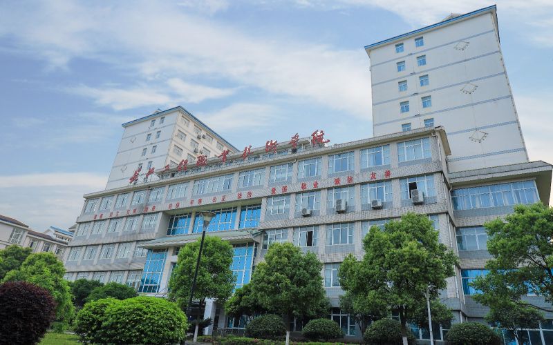 校园风光