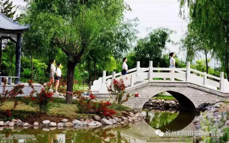 校园风光