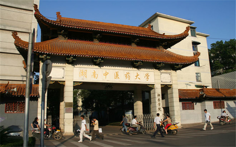 校园风光