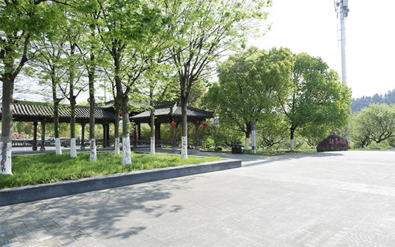校园风光