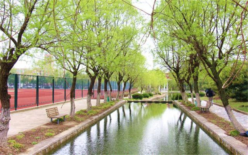 校园风光
