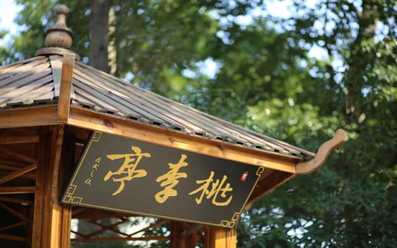校园风光