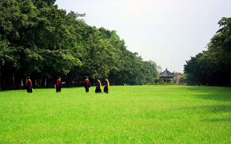 校园风光