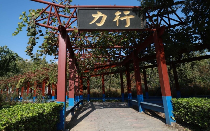 校园风光
