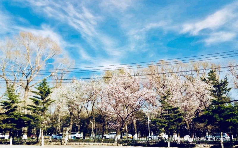 校园风光