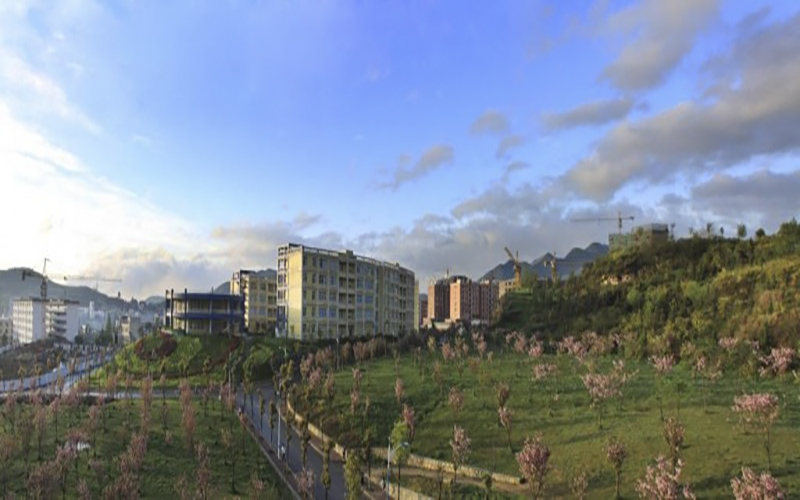 校园风光