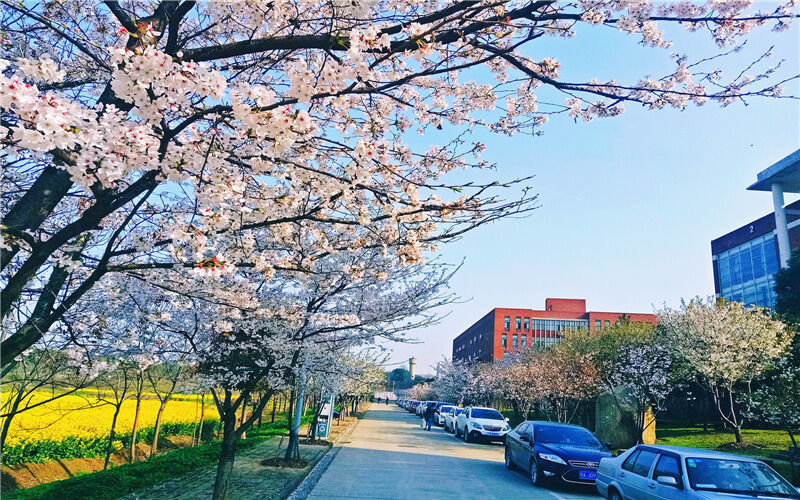 校园风光