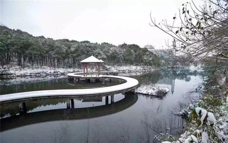 校园风光