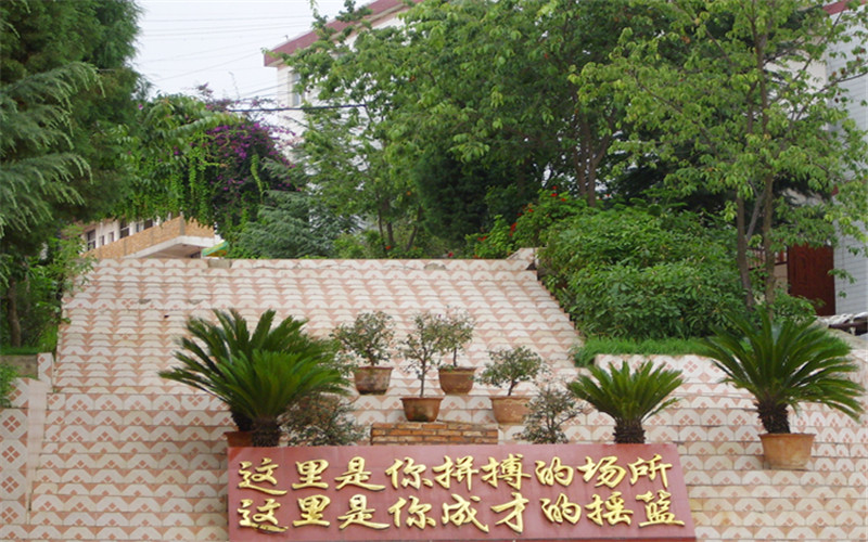 校园风光
