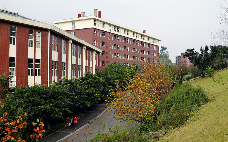 校园风光