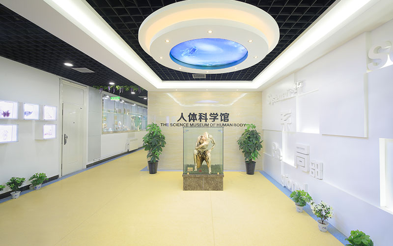 校园风光