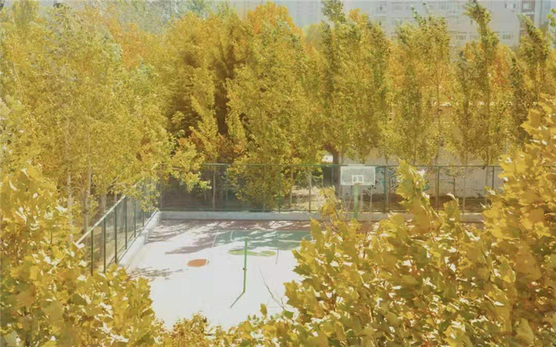 校园风光