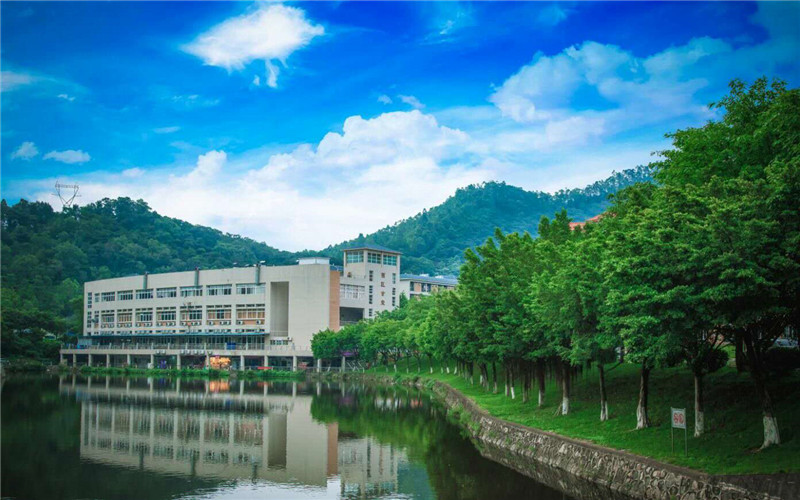 校园风光