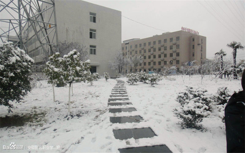 校园风光