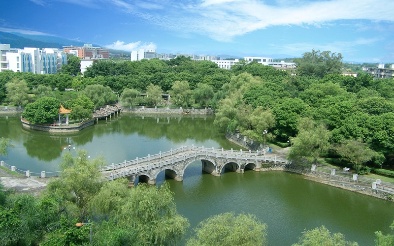 校园风光