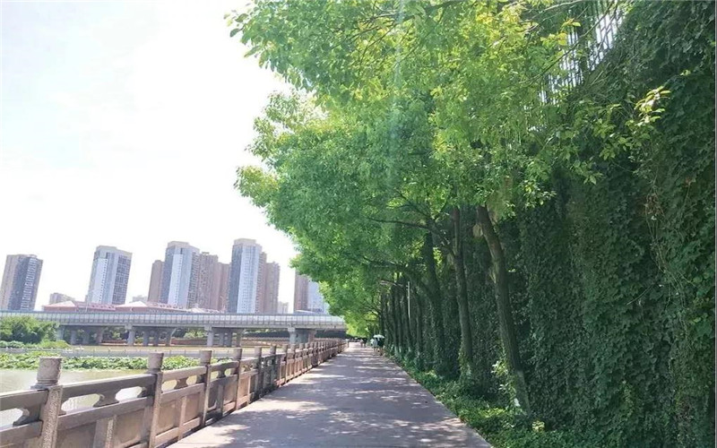 校园风光
