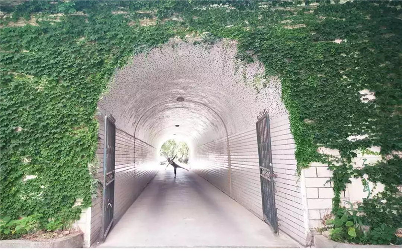校园风光