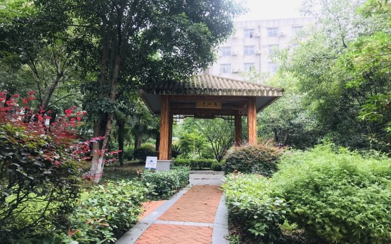 校园风光