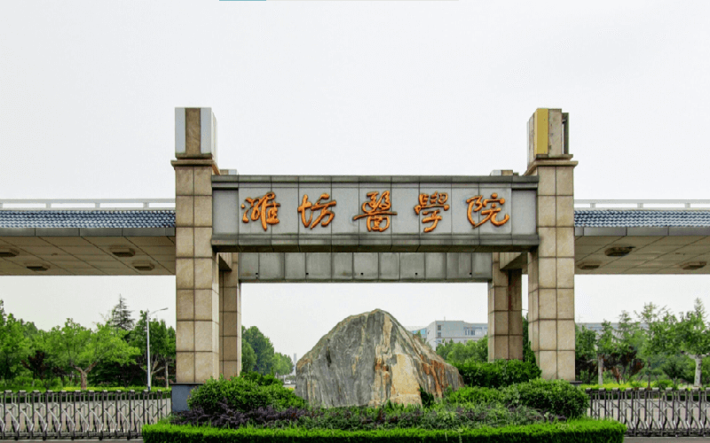 校园风光