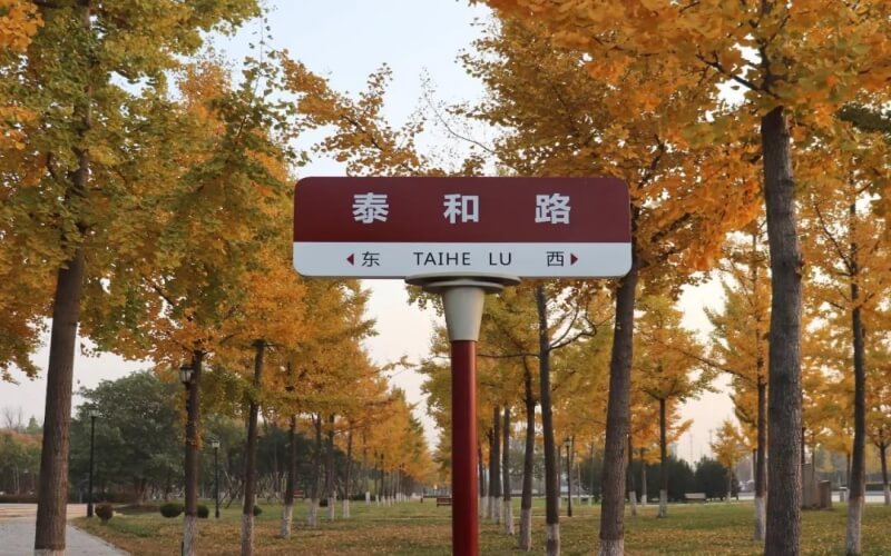 校园风光