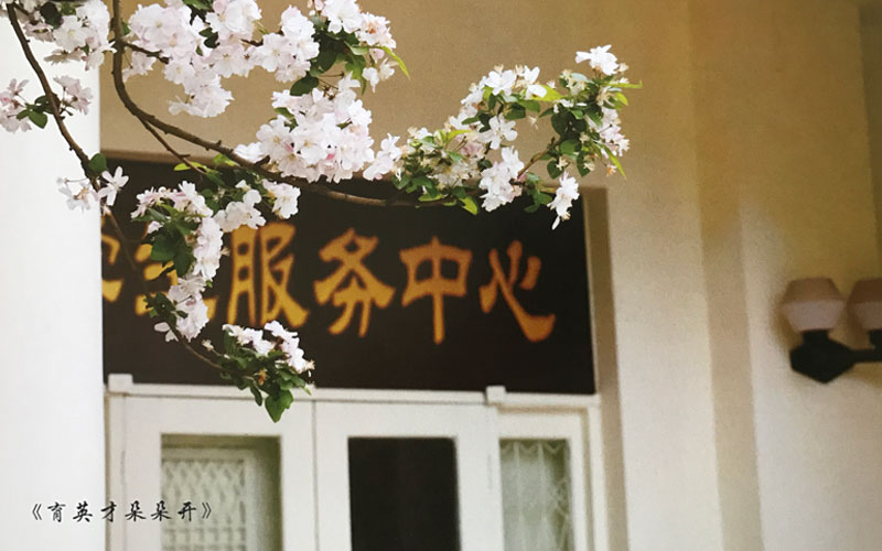 校园风光