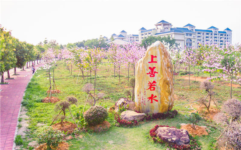 校园风光