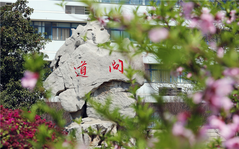 校园风光