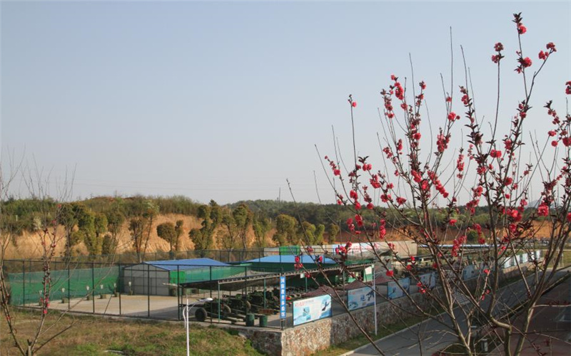 校园风光