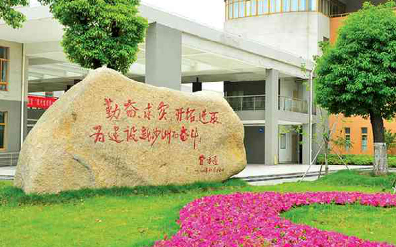校园风光