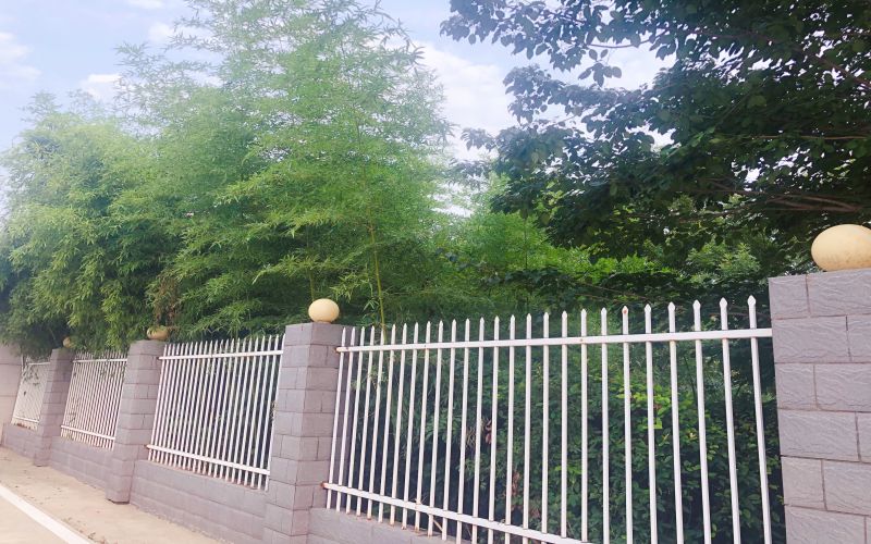 校园风光