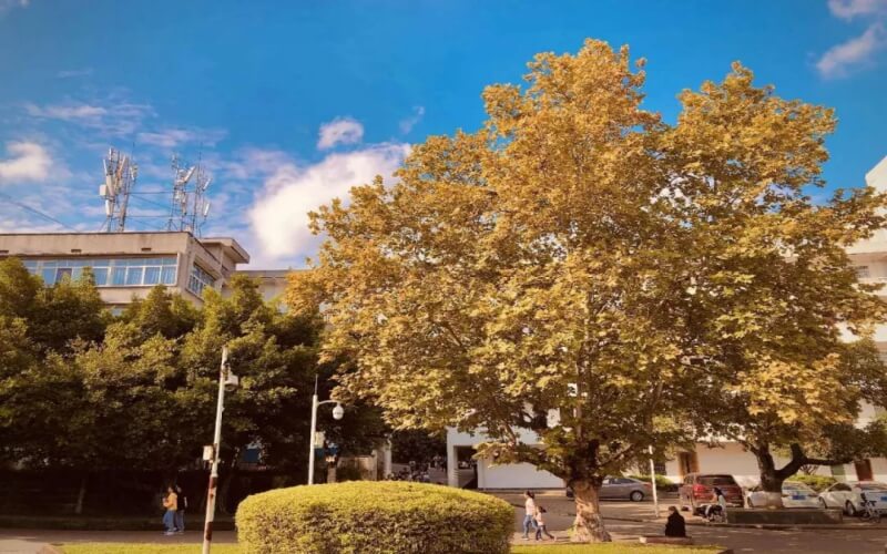 校园风光