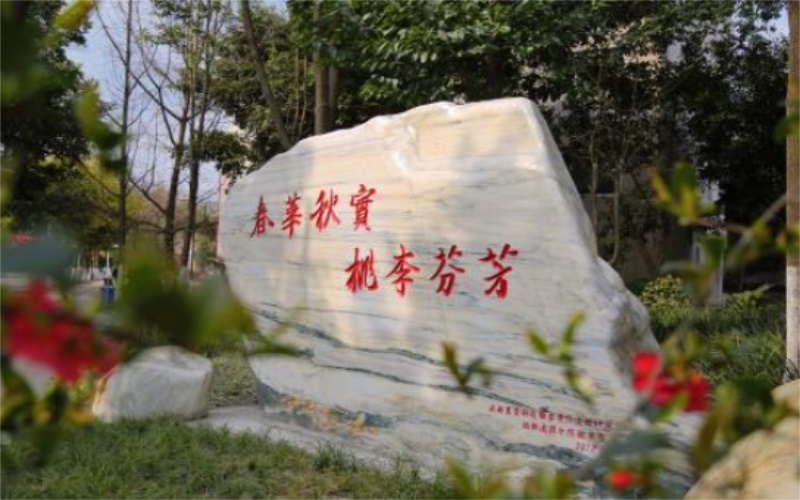 校园风光