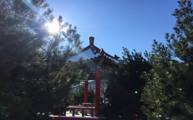 校园风光