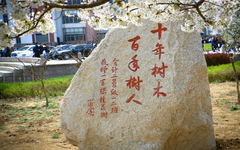 校园风光