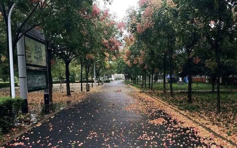 校园风光