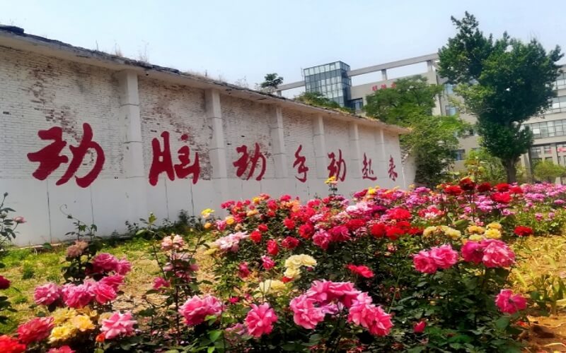 校园风光