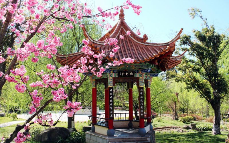 校园风光