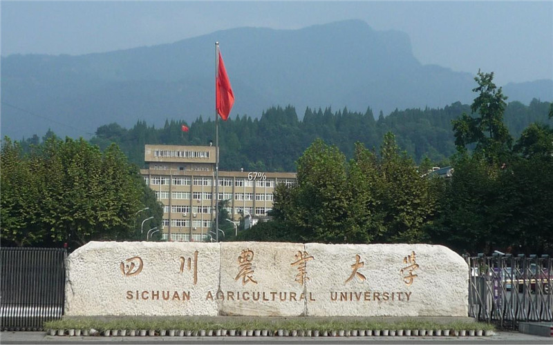 校园风光