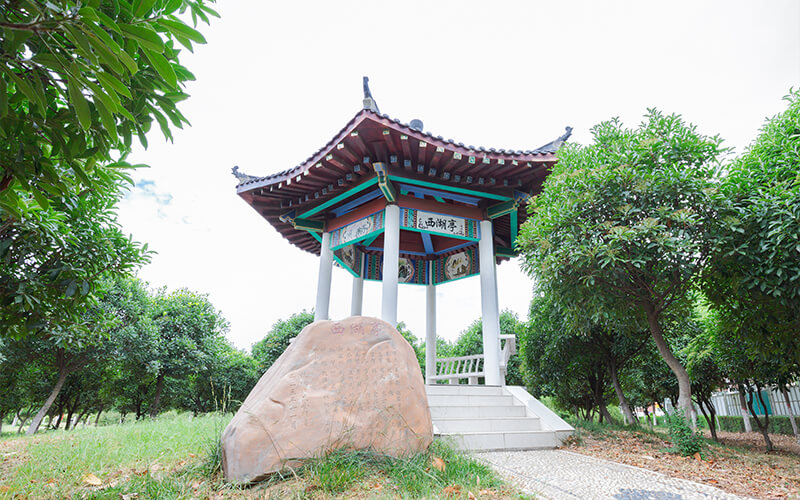 校园风光